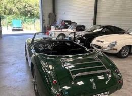 Austin Healey 100 / 6 BN4