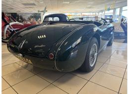 Austin Healey 100 / 4 BN1( Le Mans)