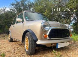 Mini 1300