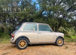 Mini 1300