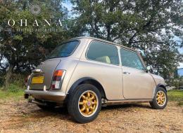 Mini 1300