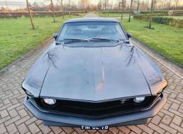 Ford Mustang Fastback 351 Cleveland