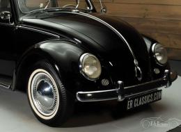 Volkswagen Coccinelle Zwitter