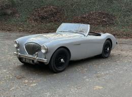 Austin Healey 100 / 4 BN1 - KIT 100M