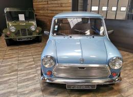 Mini 1000