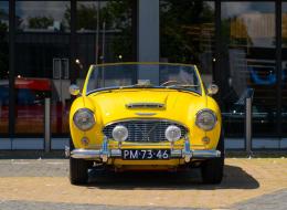 Austin Healey 100 / 6