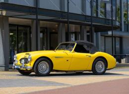 Austin Healey 100 / 6