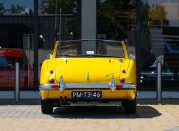 Austin Healey 100 / 6
