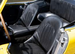 Austin Healey 100 / 6