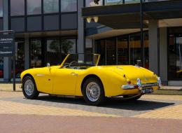 Austin Healey 100 / 6