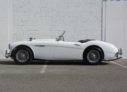 Austin Healey 100 BN6