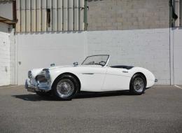 Austin Healey 100 BN6