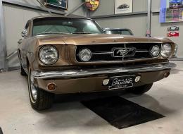 Ford Mustang Face Back 289 Ci