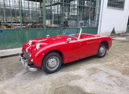 Austin Healey Sprite Frogeye MKI