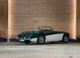 Austin Healey 100 / 6 BN4