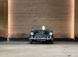 Austin Healey 100 / 6 BN4