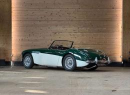 Austin Healey 100 / 6 BN4
