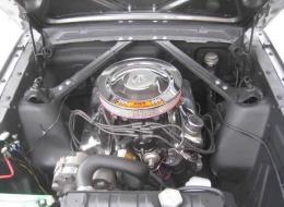 Ford Mustang 289 GT350