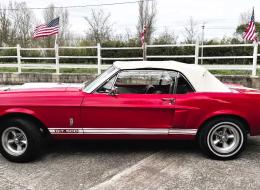 Ford Mustang CABRIOLET SHELBY CLONE 