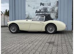 Austin Healey 100 / 6 BN6
