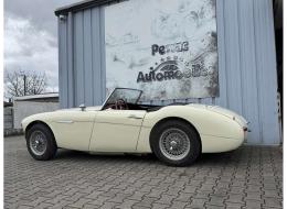 Austin Healey 100 / 6 BN6