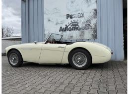 Austin Healey 100 / 6 BN6