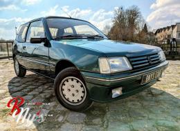 Peugeot 205 Roland Garros