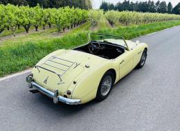 Austin Healey 100 / 6 bn6