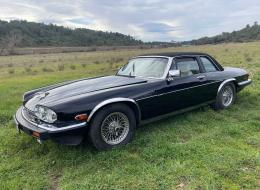 Jaguar XJS TARGA 