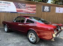 Ford Mustang FASTBACK SHELBY CLONE GT 350 TRIBUTE 