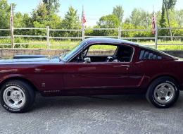 Ford Mustang FASTBACK SHELBY CLONE GT 350 TRIBUTE 