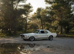 Ford Mustang GT 390 CODE S 385 cv