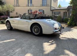 Austin Healey 3000 BJ7 - 1963