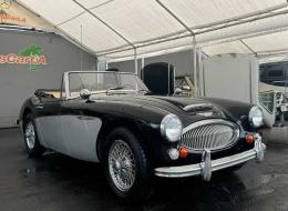 Austin Healey 3000 BJ8 Phase 3