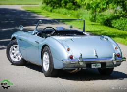 Austin Healey 100 2600