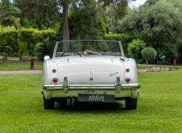 Austin Healey 100 / 6 BN4