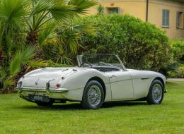 Austin Healey 100 / 6 BN4