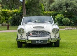 Austin Healey 100 / 6 BN4