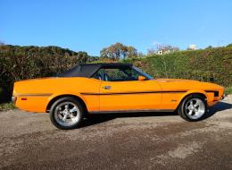 Ford Mustang V8 302 ci