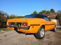 Ford Mustang V8 302 ci