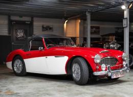 Austin Healey 100 / 6 BN4