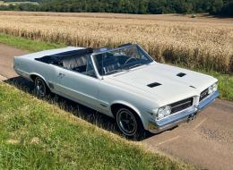Pontiac Le Mans GTO Export Cabriolet
