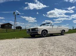 Pontiac Le Mans GTO Export Cabriolet