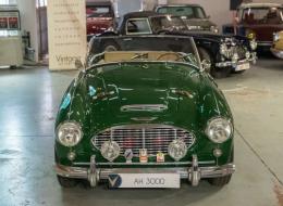 Austin Healey 3000 Mk1