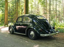 Volkswagen Coccinelle Ovale