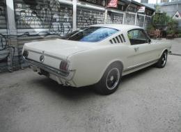 Ford Mustang Fastback 289 - V8