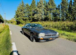 Jaguar XJS 3.6 BVA