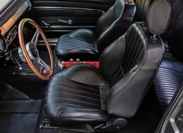 Ford Mustang ELEANOR FASTBACK