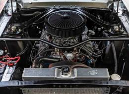 Ford Mustang ELEANOR FASTBACK