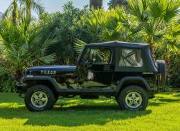 Jeep Wrangler 4.0 YJ finition Yukon